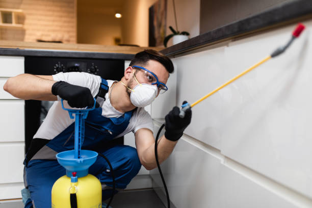 Best Pest Inspection Near Me  in De Soto, IL