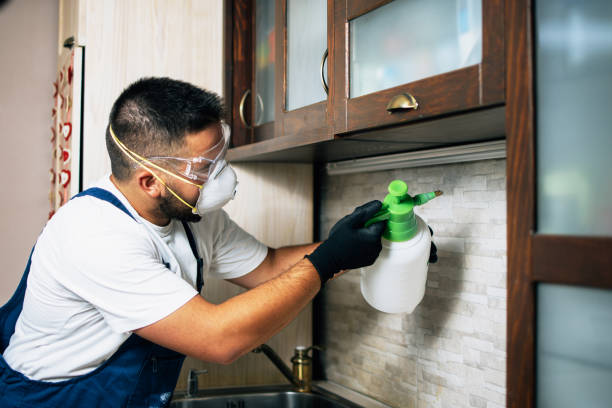Best Rat Extermination Near Me  in De Soto, IL