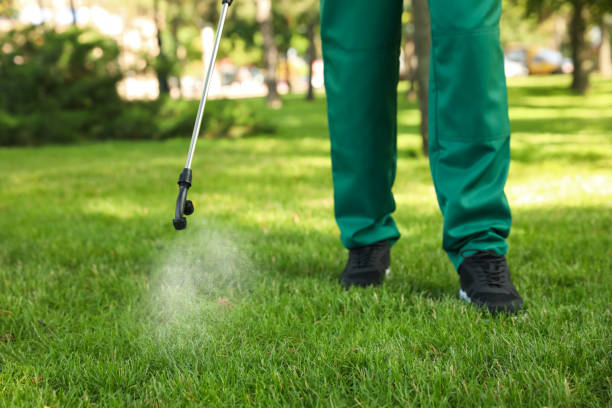 Best Pest Control for Restaurants  in De Soto, IL