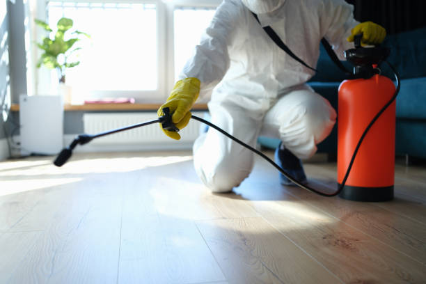 Best Best Pest Control Companies  in De Soto, IL