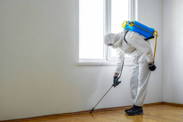 Best Cockroach Control Services  in De Soto, IL