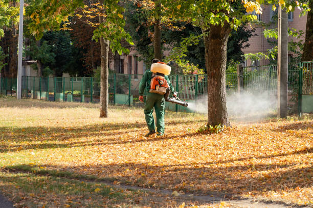 Best Pest Control Treatment  in De Soto, IL
