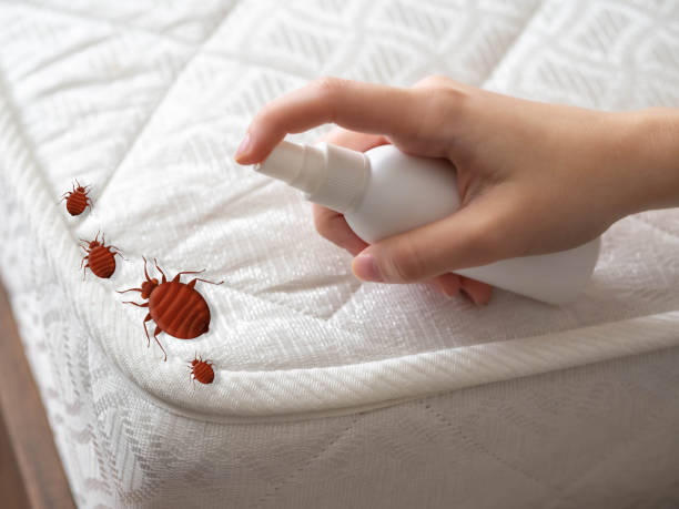 Best Pest Control Near Me in De Soto, IL
