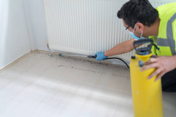 Professional Pest Control in De Soto, IL